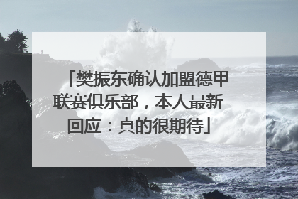 樊振东确认加盟德甲联赛俱乐部，本人最新回应：真的很期待