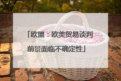 欧盟：欧美贸易谈判前景面临不确定性
