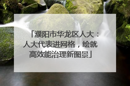 濮阳市华龙区人大：人大代表进网格，绘就高效能治理新图景