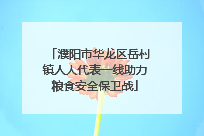 濮阳市华龙区岳村镇人大代表一线助力粮食安全保卫战