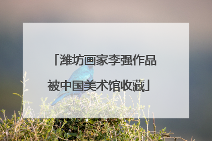 潍坊画家李强作品被中国美术馆收藏