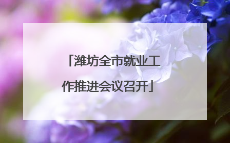 潍坊全市就业工作推进会议召开