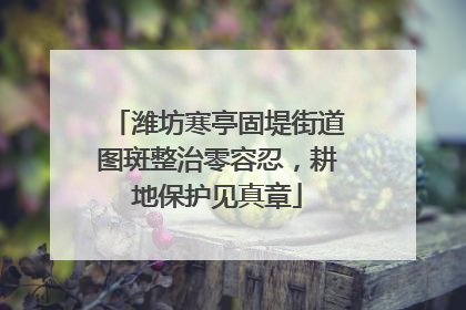 潍坊寒亭固堤街道图斑整治零容忍，耕地保护见真章