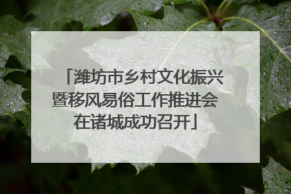 潍坊市乡村文化振兴暨移风易俗工作推进会在诸城成功召开
