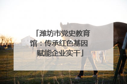 潍坊市党史教育馆：传承红色基因 赋能企业实干