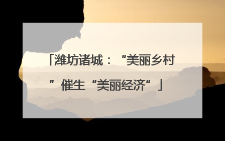潍坊诸城：“美丽乡村”催生“美丽经济”