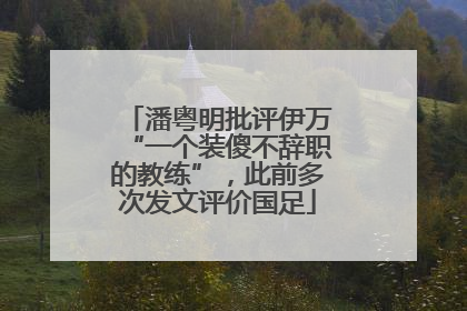 潘粤明批评伊万“一个装傻不辞职的教练”，此前多次发文评价国足