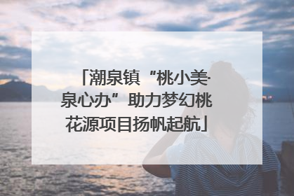 潮泉镇“桃小美·泉心办”助力梦幻桃花源项目扬帆起航