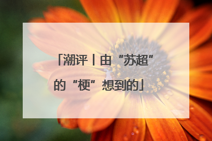 潮评丨由“苏超”的“梗”想到的