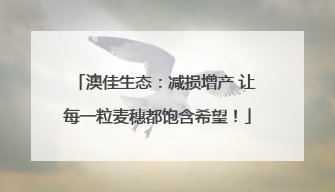 澳佳生态：减损增产 让每一粒麦穗都饱含希望！