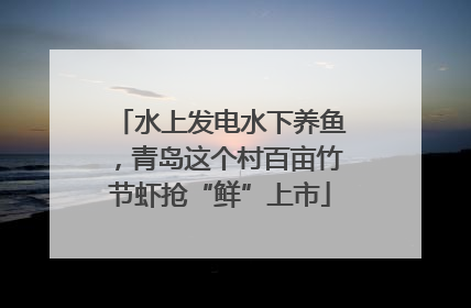 水上发电水下养鱼，青岛这个村百亩竹节虾抢“鲜”上市