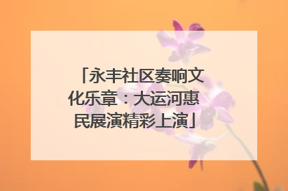 永丰社区奏响文化乐章：大运河惠民展演精彩上演