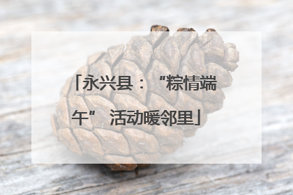 永兴县：“粽情端午” 活动暖邻里