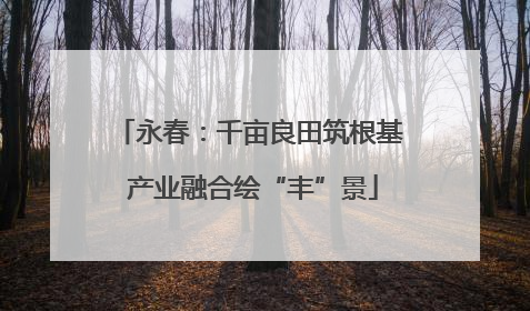 永春：千亩良田筑根基 产业融合绘“丰”景