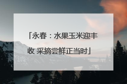 永春：水果玉米迎丰收 采摘尝鲜正当时