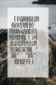 民间投资保持增长 创新动能持续增强！河北民营经济发展实现“量”“质”双提升