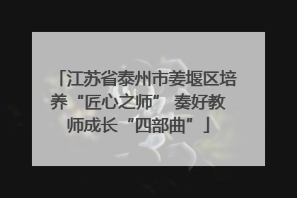江苏省泰州市姜堰区培养“匠心之师” 奏好教师成长“四部曲”