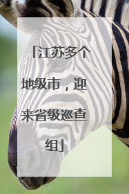 江苏多个地级市，迎来省级巡查组