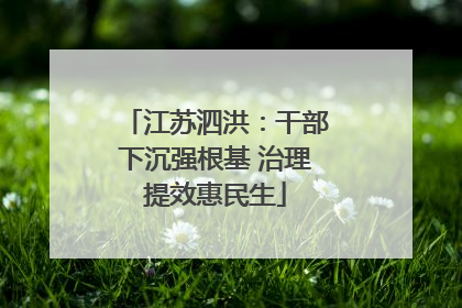 江苏泗洪：干部下沉强根基 治理提效惠民生