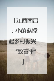 江西南昌：小菌菇撑起乡村振兴“致富伞”