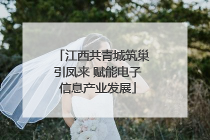 江西共青城筑巢引凤来 赋能电子信息产业发展