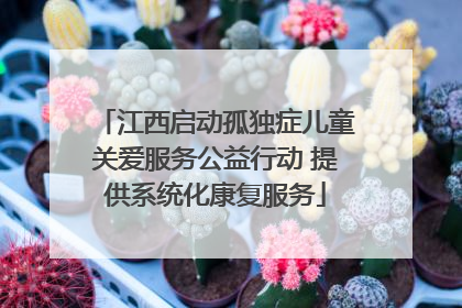 江西启动孤独症儿童关爱服务公益行动 提供系统化康复服务