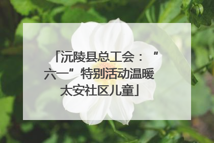沅陵县总工会：“六一”特别活动温暖太安社区儿童