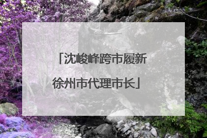 沈峻峰跨市履新徐州市代理市长