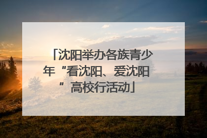沈阳举办各族青少年“看沈阳、爱沈阳”高校行活动