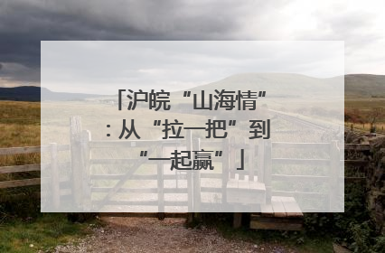 沪皖“山海情”：从“拉一把”到“一起赢”