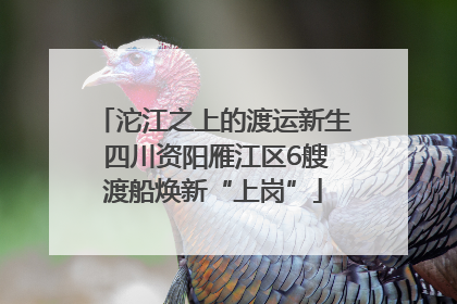 沱江之上的渡运新生 四川资阳雁江区6艘渡船焕新“上岗”
