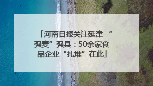 河南日报关注延津 “强麦”强县：50余家食品企业“扎堆”在此