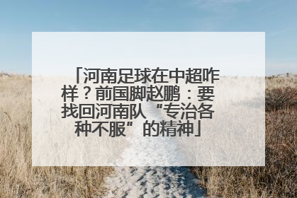 河南足球在中超咋样？前国脚赵鹏：要找回河南队“专治各种不服”的精神