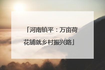 河南镇平：万亩荷花铺就乡村振兴路