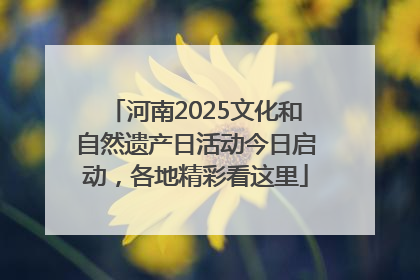 河南2025文化和自然遗产日活动今日启动，各地精彩看这里