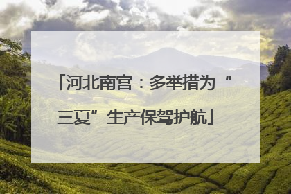 河北南宫：多举措为“三夏”生产保驾护航