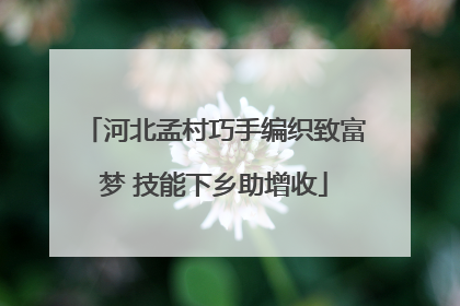 河北孟村巧手编织致富梦 技能下乡助增收