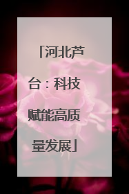 河北芦台：科技赋能高质量发展