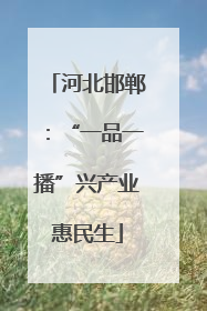 河北邯郸：“一品一播”兴产业惠民生