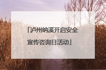 泸州纳溪开启安全宣传咨询日活动
