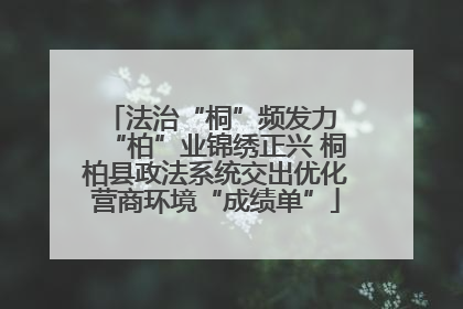 法治“桐”频发力 “柏”业锦绣正兴 桐柏县政法系统交出优化营商环境“成绩单”