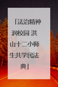 法治精神润校园 洪山十二小师生共学民法典