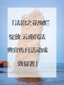 法治之花绚烂绽放 云南民法典宣传月活动成效显著