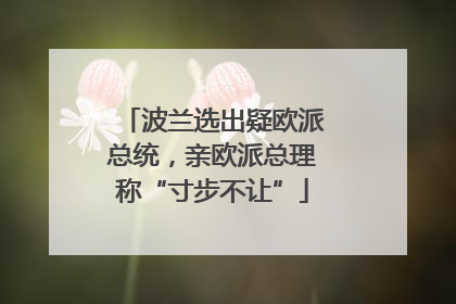 波兰选出疑欧派总统，亲欧派总理称“寸步不让”