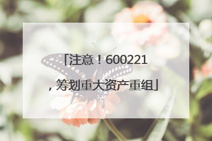 注意！600221，筹划重大资产重组