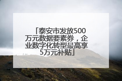 泰安市发放500万元数据要素券，企业数字化转型最高享5万元补贴