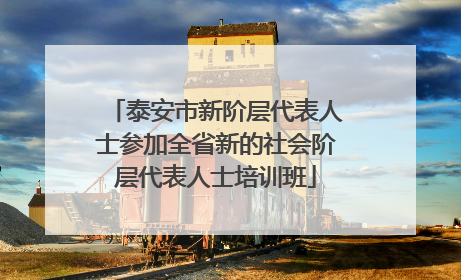 泰安市新阶层代表人士参加全省新的社会阶层代表人士培训班