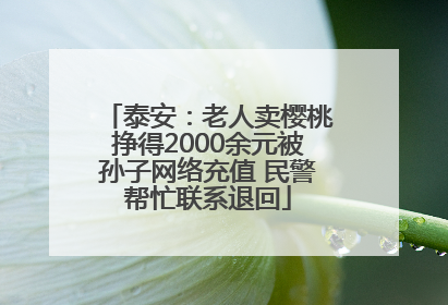 泰安：老人卖樱桃挣得2000余元被孙子网络充值 民警帮忙联系退回