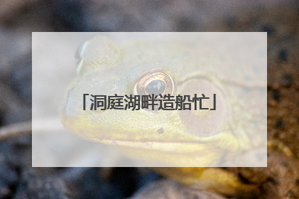 洞庭湖畔造船忙