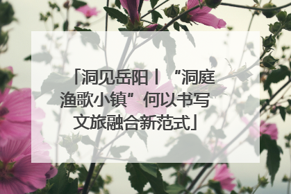 洞见岳阳丨“洞庭渔歌小镇”何以书写文旅融合新范式